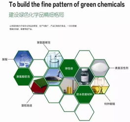 山東聯創新材料集團