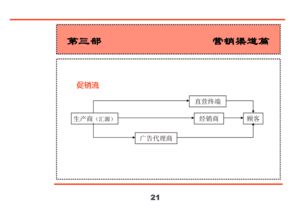 匯源集團新產品營銷策劃全案